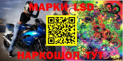 дмт Славгород