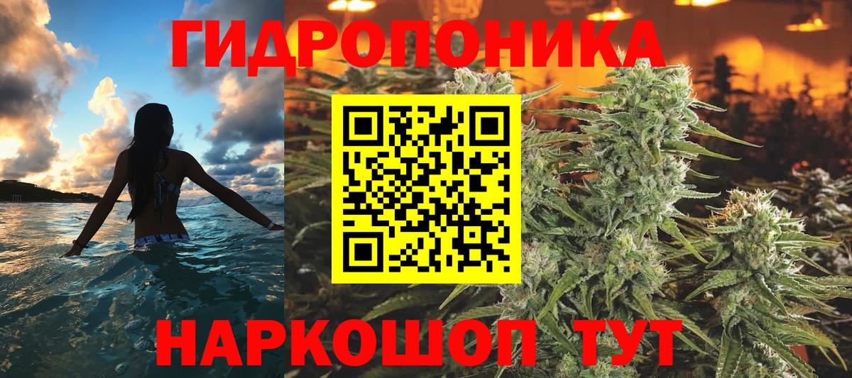 Бошки марихуана сатива  Конопля тримм  Шишки марихуана сатива  Вход с VPN  Можга  Марихуана сатива 
